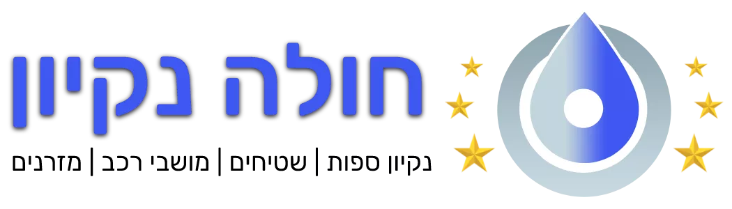 חולה ניקיון - לוגו